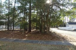 40 Pineberry Dr. photo 4