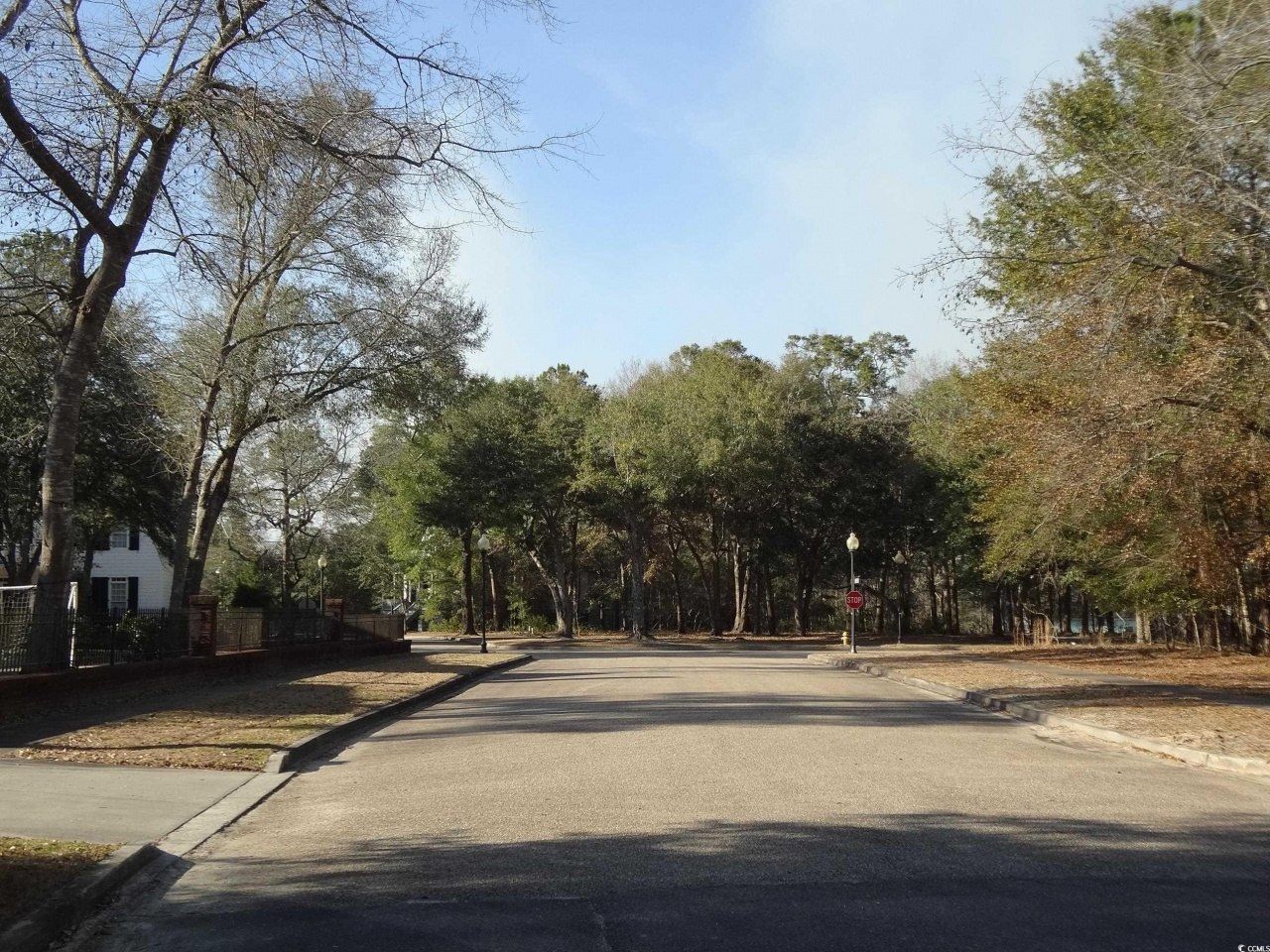 40 Pineberry Dr. Photo 7