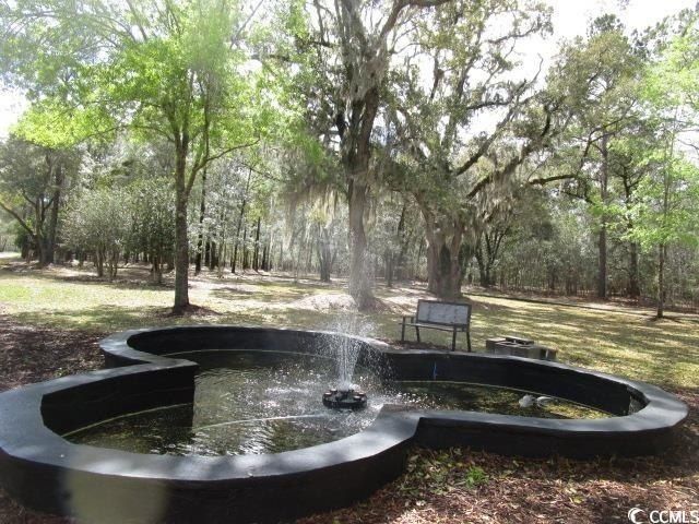 40 Pineberry Dr. Photo 8