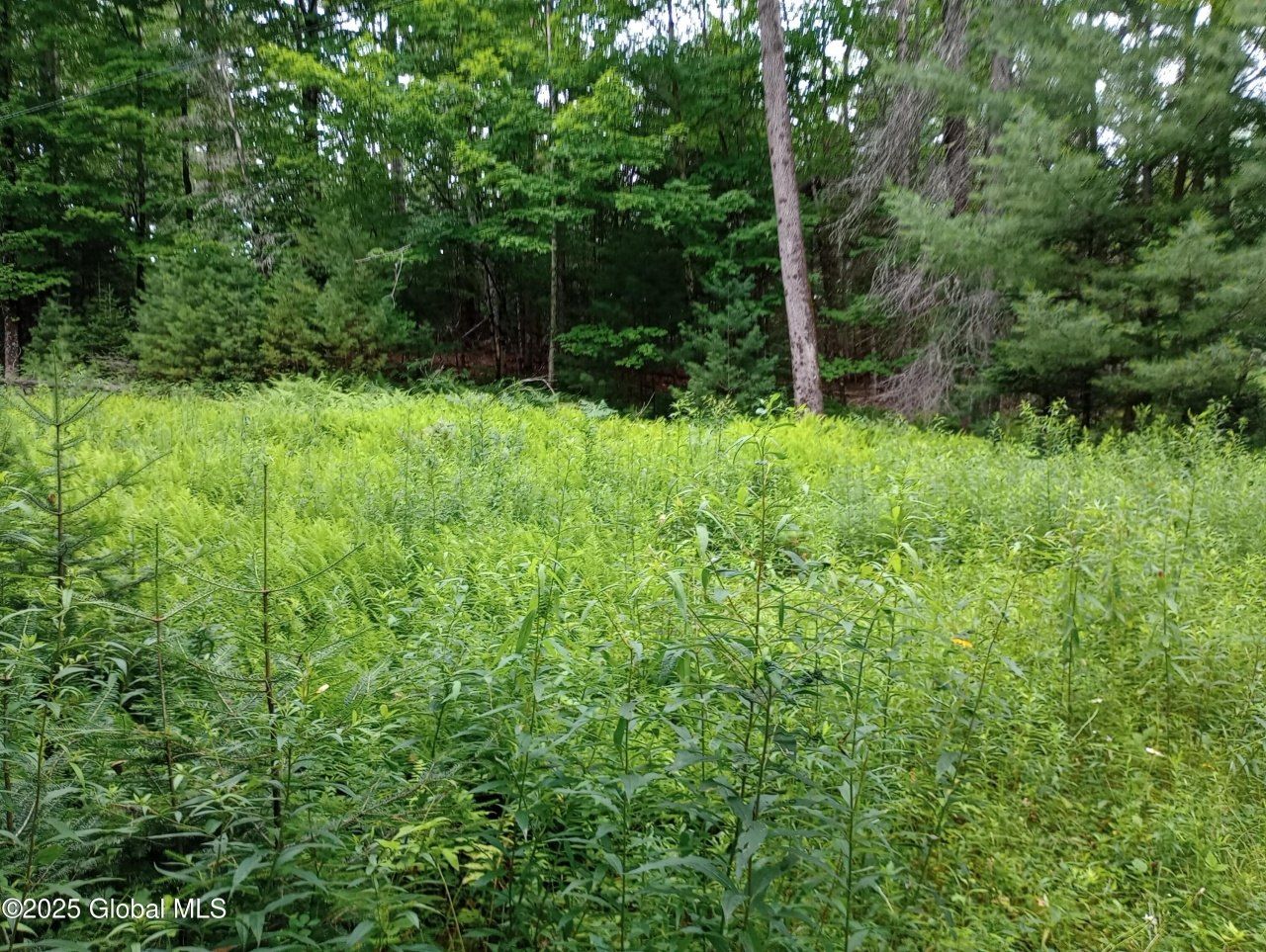 L30 Lane Road, Minerva, NY 12853 Main Photo