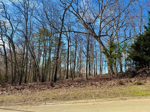 Lot 37 Lake Vista Drive, Baneberry, TN 37890