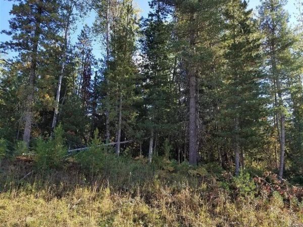 111 Trail Blazer Ct., Pinehurst, ID 83850