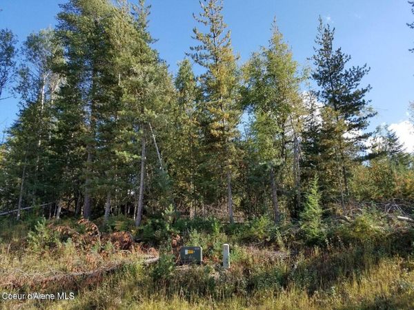 113 Trail Blazer Ct., Pinehurst, ID 83850