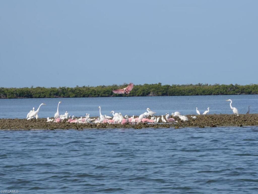 111 Morning Star Cay, Naples, FL 34114 Photo