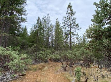 3-ac Todd Valley Rd, Foresthill, CA 95631 Photo