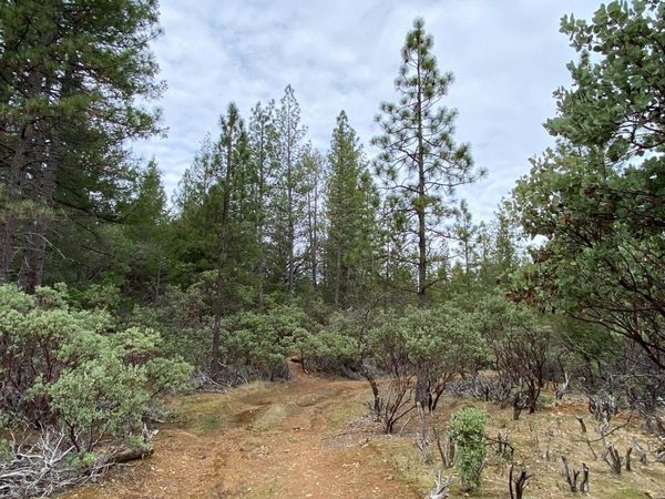 3-ac Todd Valley Rd, Foresthill, CA 95631