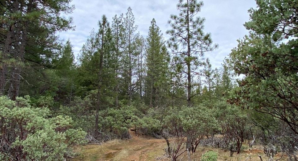 3-ac Todd Valley Rd, Foresthill, CA 95631 Photo