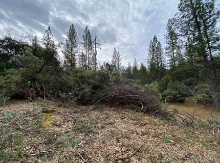 3-ac Todd Valley Rd, Foresthill, CA 95631 Photo