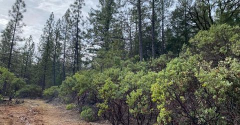 3-ac Todd Valley Rd, Foresthill, CA 95631 Photo