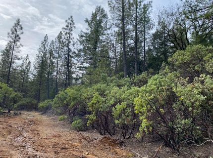 3-ac Todd Valley Rd, Foresthill, CA 95631 Photo