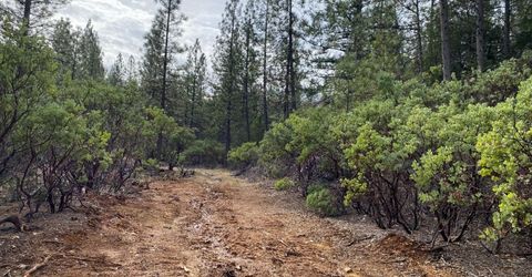 3-ac Todd Valley Rd, Foresthill, CA 95631 Photo