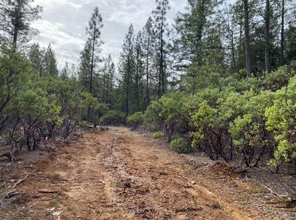 3-ac Todd Valley Rd, Foresthill, CA 95631 Photo