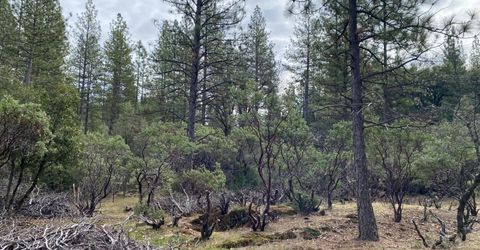 3-ac Todd Valley Rd, Foresthill, CA 95631 Photo