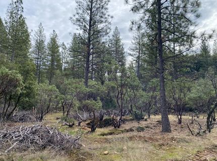 3-ac Todd Valley Rd, Foresthill, CA 95631 Photo