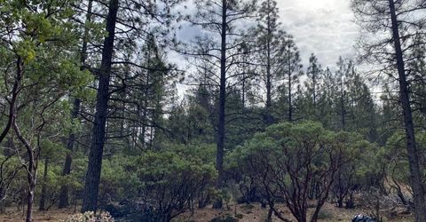 3-ac Todd Valley Rd, Foresthill, CA 95631 Photo