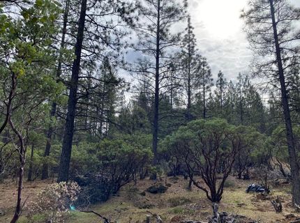 3-ac Todd Valley Rd, Foresthill, CA 95631 Photo