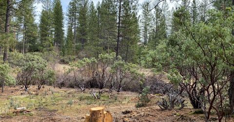 3-ac Todd Valley Rd, Foresthill, CA 95631 Photo