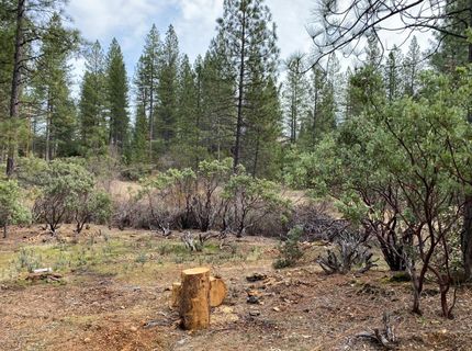 3-ac Todd Valley Rd, Foresthill, CA 95631 Photo