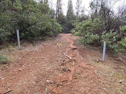 3-ac Todd Valley Rd, Foresthill, CA 95631 Photo