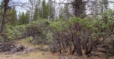 3-ac Todd Valley Rd, Foresthill, CA 95631 Photo