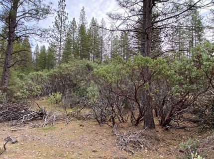 3-ac Todd Valley Rd, Foresthill, CA 95631 Photo