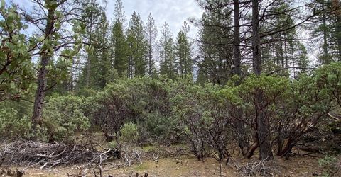 3-ac Todd Valley Rd, Foresthill, CA 95631 Photo