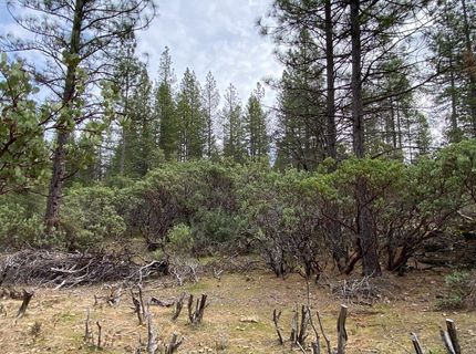 3-ac Todd Valley Rd, Foresthill, CA 95631 Photo