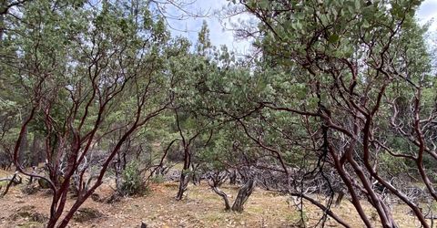 3-ac Todd Valley Rd, Foresthill, CA 95631 Photo