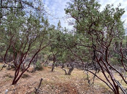 3-ac Todd Valley Rd, Foresthill, CA 95631 Photo