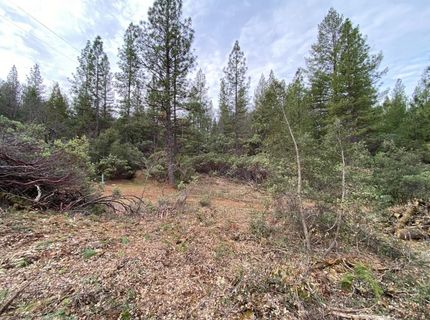 3-ac Todd Valley Rd, Foresthill, CA 95631 Photo