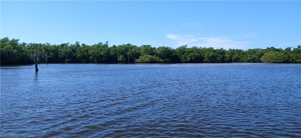 4745 Spring Creek Dr, Bonita Springs, FL 34134 Photo