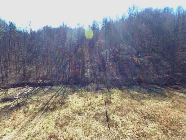 26 Acres Burger Branch County Rd 464, Englewood, TN 37329