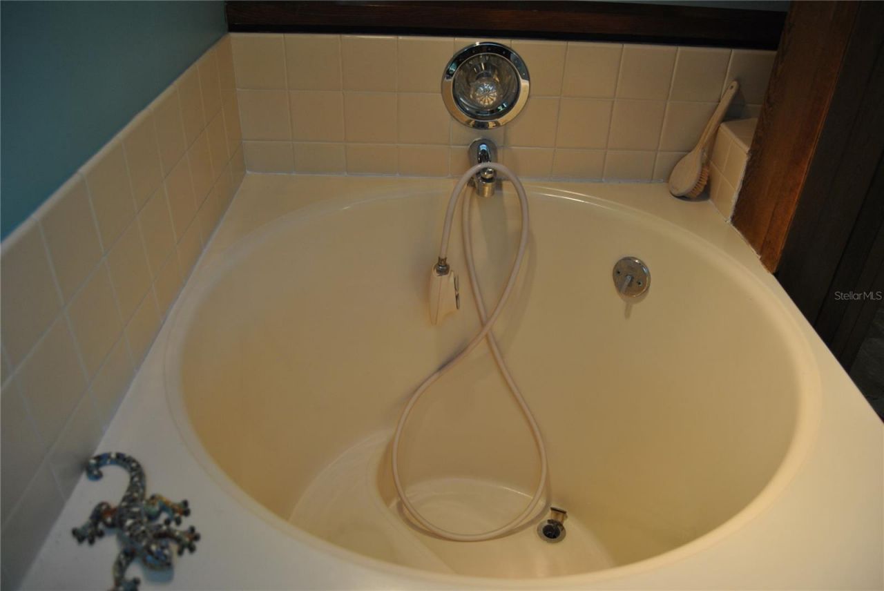 7219 Williams Drive S, Saint Petersburg, FL 33705 Photo