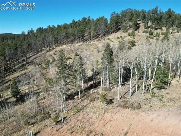 1370 Blue Haven Place, Woodland Park, CO 80863