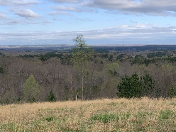 TURKEY KNOB RD, Counce, TN 38326