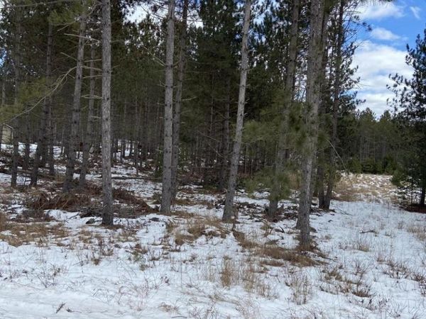 Lt2 TWIN LAKE ROAD, Dunbar, WI 54119