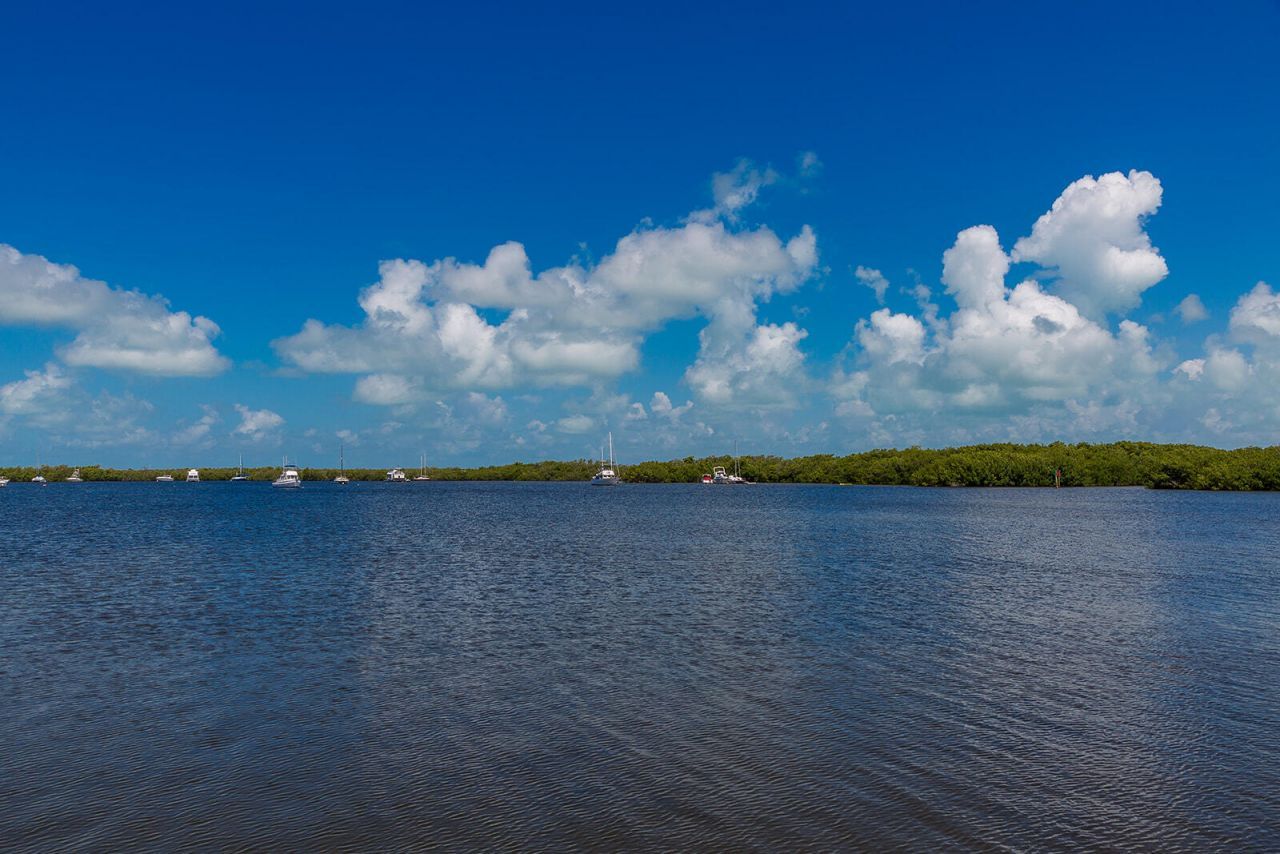 184 Harborview Drive, Tavernier, FL 33070 Photo