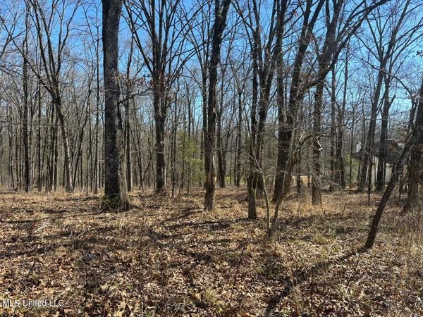 123 Bridgewater Bend Bend, Ridgeland, MS 39157