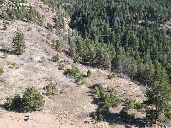 1365 Blue Haven Place, Woodland Park, CO 80863