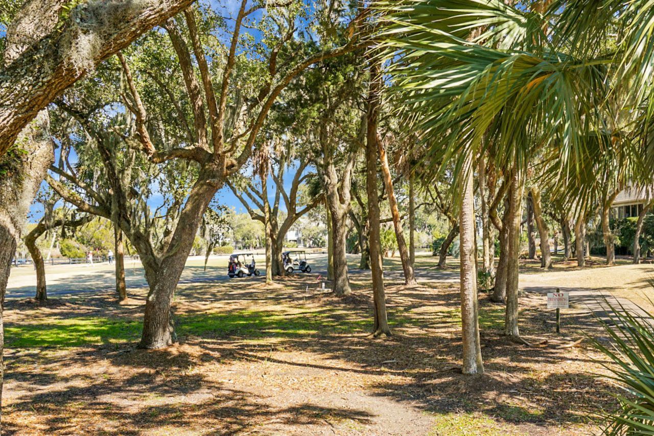 278 Driftwood Lane Photo 29