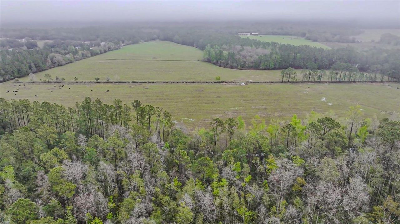 0000 Alligator Road, Clermont, FL 34714 Photo