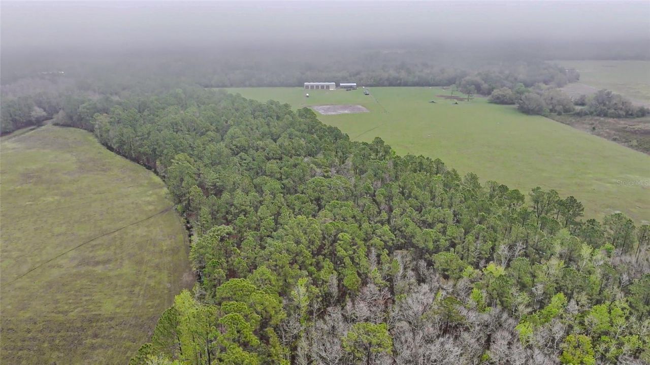 0000 Alligator Road, Clermont, FL 34714 Photo