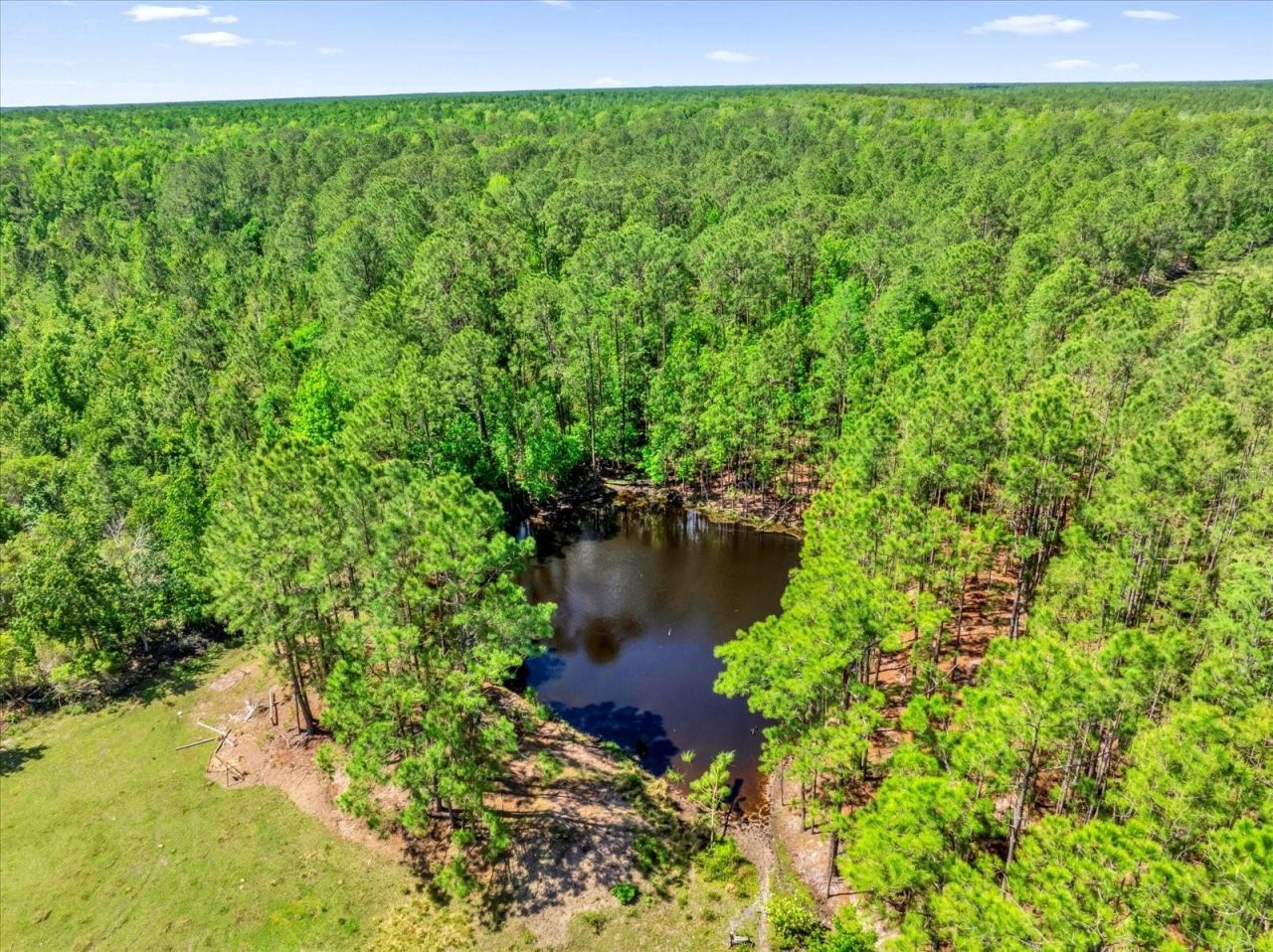 0000 Alligator Road, Clermont, FL 34714 Photo