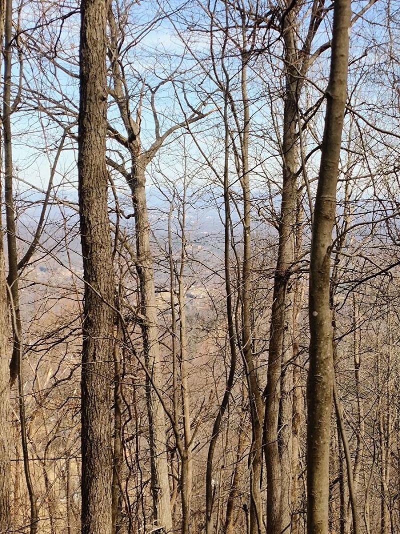 0 Bent Mountain Rd, Bent Mountain, VA 24059 Main Photo