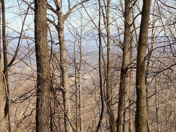0 Bent Mountain RD, Bent Mountain, VA 24059