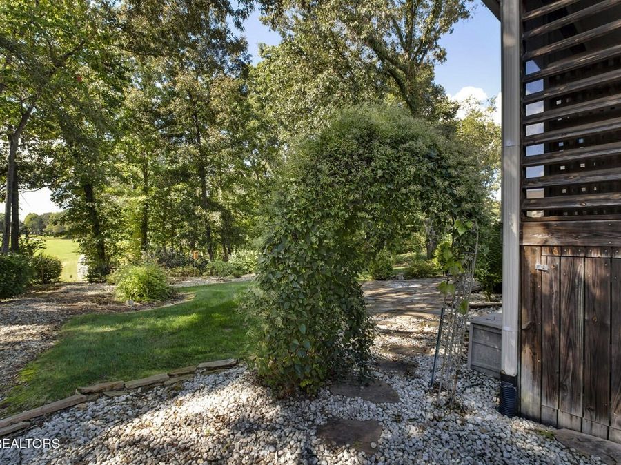 Property Image 54
