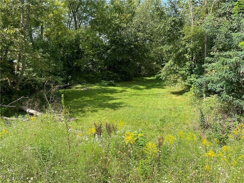 156 Cherry Street W, Canal Fulton, OH 44614 Photo 2