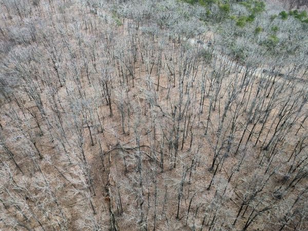 0 Clearview Drive, Talking Rock, GA 30175