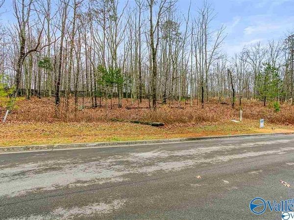 13 Winter Walk Way, Huntsville, AL 35803