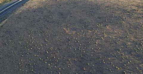 0 Us-395, Reno, NV 89521 Photo